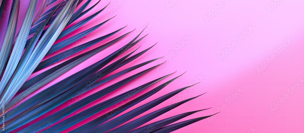Aufkleber copy space image of a palm tree leaf against a vibrant pink backdrop