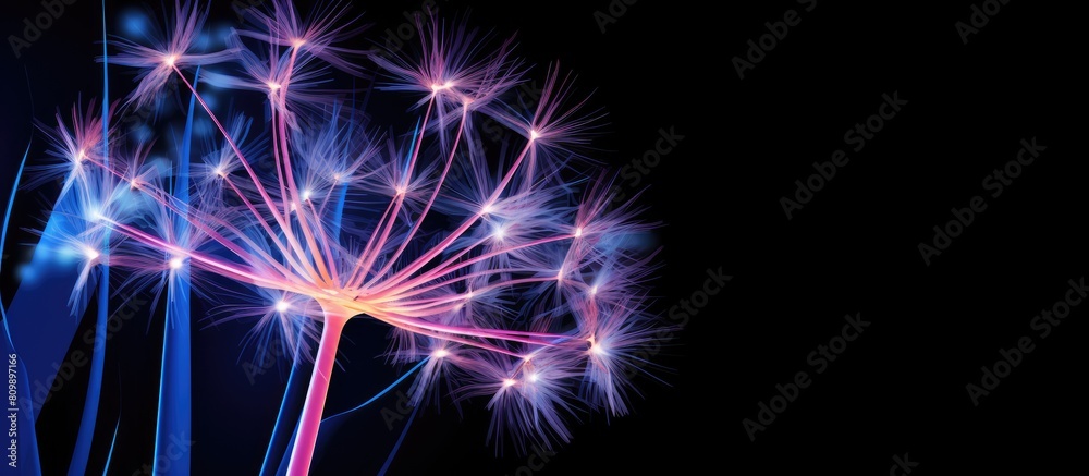Poster abstract copy space image of a large dandelion illuminated by neon pink and blue lights set against 