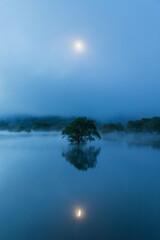 早朝の山形白川湖の水没林