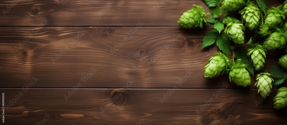 Poster top view of fresh green hops on a wooden table with ample space for adding text in the image