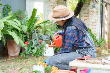 Asian flower gardeners are involved with red roses. Sitting in the midst of a garden full of leaves Blue gloves, water truck, care for the plants carefully It conveys diligence.