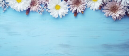 Obraz premium Autumn flowers beautiful asters on a light blue wooden background with copy space image Flat lay
