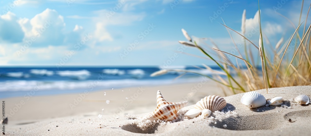 Poster in the summer the beach sand dune and shell fragments create a picturesque landscape with ample copy