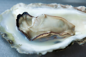 View of the oyster on the plate