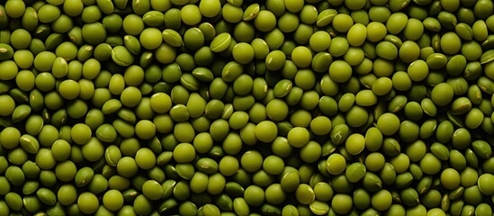 Green Gram Mung Beans background creating a captivating copy space image for the vegan food concept