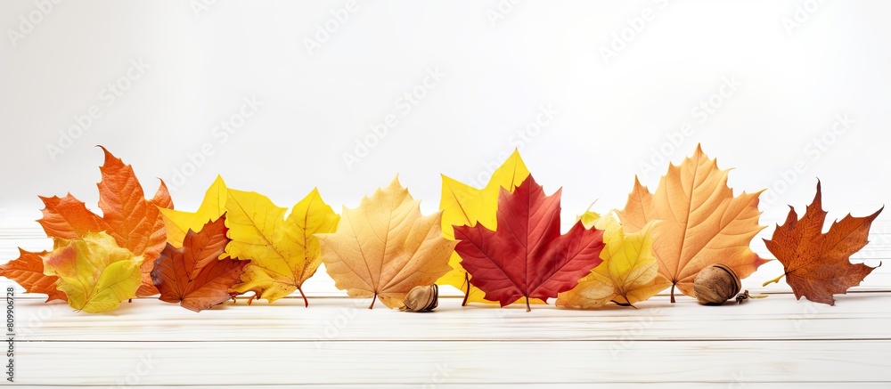 Poster Colorful autumn leaves displayed on a white table providing an inviting and visually appealing copy space image