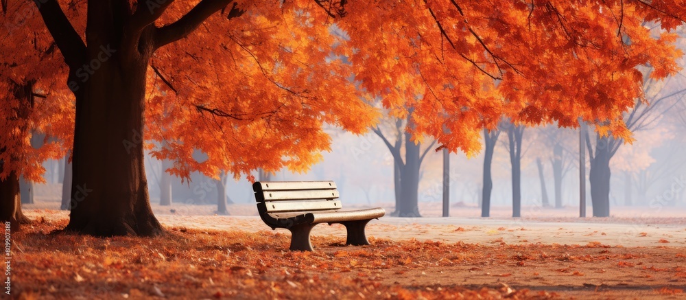 Poster a vibrant display of autumn leaves provides a picturesque backdrop for outdoor activities in the par