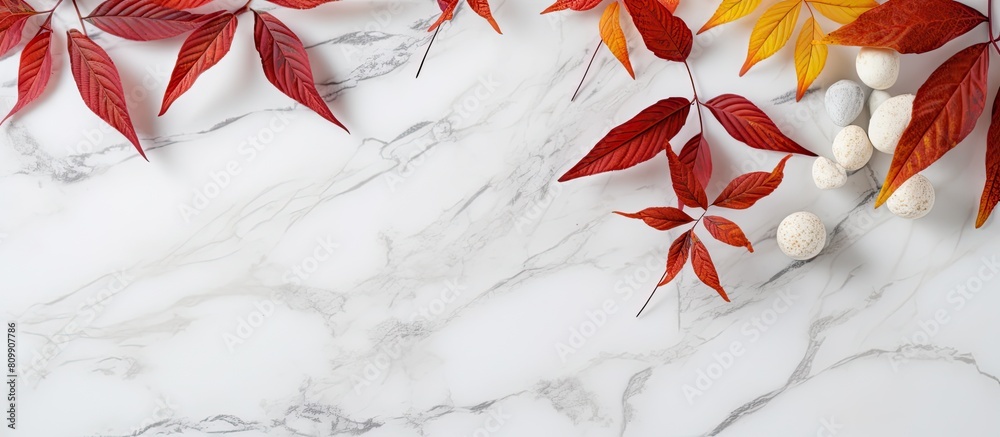 Poster white marble background with autumn natural decor and copy space image