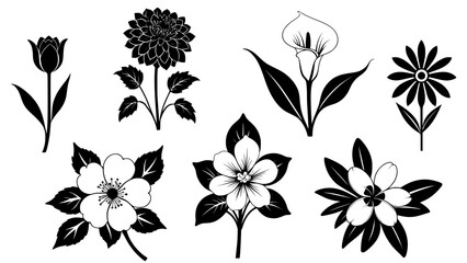 Stylish silhouette set of flowers