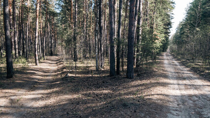 Forest road in the Alps, near Salzburg, near Furstenbrunn on the Untersbergbahn