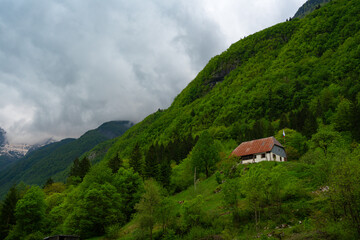Fototapeta premium House at the foot of an alpine mountain. The mountain is densely covered with green vegetation. Road uphill. Nature background 