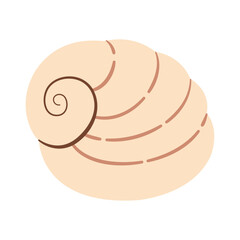 Hand drawn Scotts Top Shell. Modern flat style seashell illustration. Souvenir seashell isolated on white background. Vector illustration
