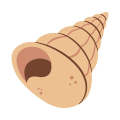 Hand drawn Scotts Top Shell. Modern flat style seashell illustration. Souvenir seashell isolated on white background. Vector illustration