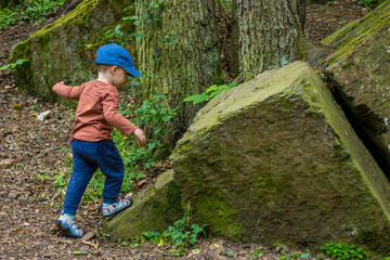 Little boy hiking in the forest on a early spring. Outdoors games for children.