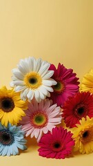 vertical background,,bouquet of colorful gerber with yellow background - obrazy, fototapety, plakaty