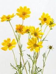 A vibrant yellow coreopsis plant dominates the picture, standing out boldly.