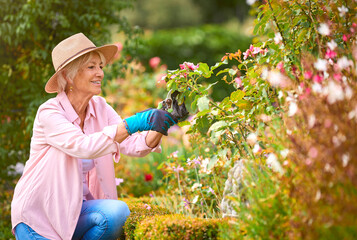 Senior Retired Woman Outdoors At Home Working In Summer Garden Together