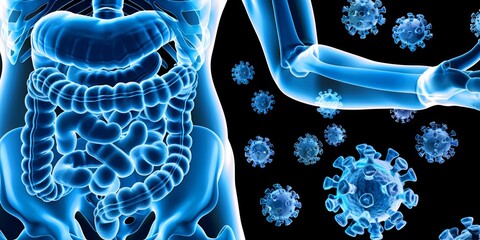 "Radiant blue illustration of the human digestive system with floating virus particles, perfect for educational content on infectious diseases.