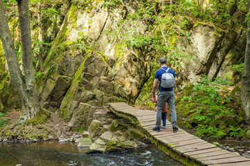 Dad with toddler walking and hiking together at sping forest. 