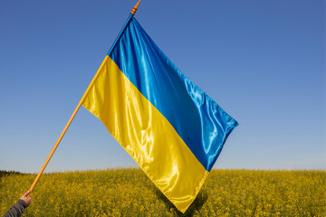 large Ukrainian yellow-blue satin flag against the backdrop of a beautifully blooming rapeseed...