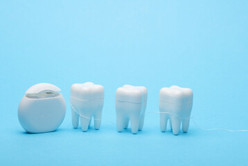 Plastic models of teeth and dental floss on a blue background. Dental care
