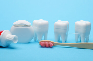 Plastic models of teeth and dental floss, toothbrush on a blue background. Dental care
