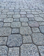 An aerial view of a cobblestone brick walkway reveals a charming pattern of interlocking stones, creating a textured and timeless path.