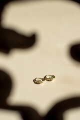 Golden rings elegantly showcased against a clean beige background. Flat lay, top view, minimalist fashion jewelry with shadows of sunlight. Jewelry fashion photography. Summer earrings. Fashion blog. 