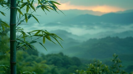 A towering green bamboo stalk reaches up towards the sky.