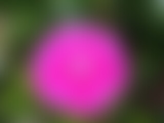 Top view, abstract blurred pure green pink coloure background for graphic design or stock photo, pink textures, 3d room,gradiant color