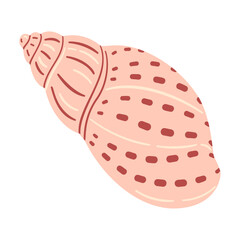 Hand drawn Babylon Seashell. Trendy flat style seashell illustration. Souvenir seashell isolated on white background. Vector illustration