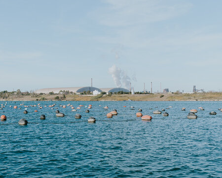 Ilva, industria che inquina