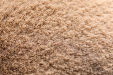 Texture of brown faux fur as background, closeup