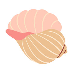 Hand drawn Seashell. Trendy flat style seashell illustration. Souvenir seashell isolated on white background. Vector illustration