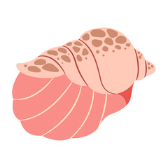 Hand drawn Seashell. Trendy flat style seashell illustration. Souvenir seashell isolated on white background. Vector illustration