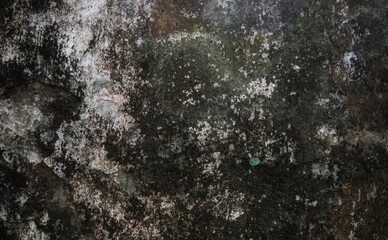 Empty white concrete texture background, abstract backgrounds, background design. Grunge interior...
