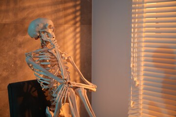 Waiting concept. Human skeleton sitting in armchair indoors, space for text