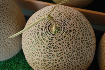 Cantaloupe melons in blue farmers crates, fresh produce and agricultural food, healthy natural fruit.