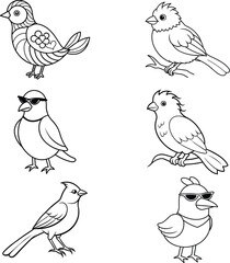set of birds