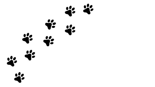 dog paw, cat paw trail print isolated on white background. 4k animated video