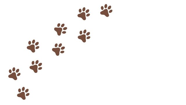 dog paw, cat paw trail print isolated on white background. 4k animated video
