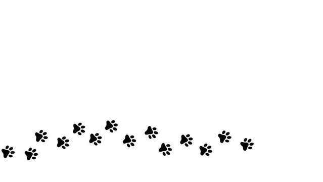 dog paw, cat paw trail print isolated on white background. 4k animated video