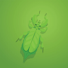 Vector illustration of a green Phylliidae ,leaf insect