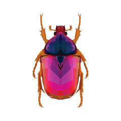Vector illustration of a pink dung beetle