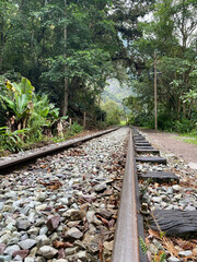 Obraz premium photo de rails de train au milieu de la nature, entourés d'arbres verts. chemin de fer au milieu de la forêt. chemin vers le Machu Picchu