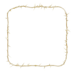 3D render features a unique square frame woven from thorns. Its textured design adds depth to modern art and religious projects, perfect for exploring themes of faith.