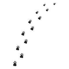 Animal paw prints pattern. Scattered footprints. Vector illustration.