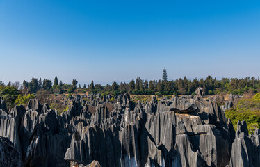 Scenery of Stone Forest Scenic Area in Kunming City, Yunnan Province