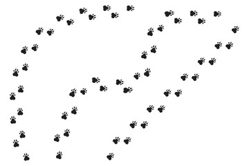 Animal paw prints path. Diagonal arrangement. Black isolated tracks on white. Vector illustration