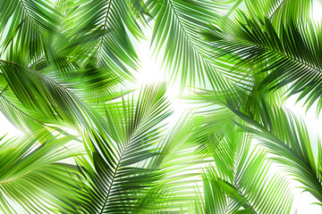 Palm Leaves, Tropical palm fronds swaying in the breeze, Seamless pattern illustration 